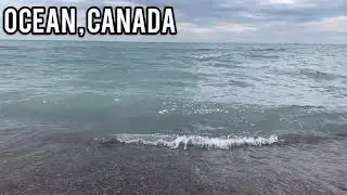 visit the tour of canada | places |   mountains | snowfall | Forrest | skyline Toronto | Ontario