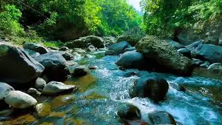 Deep Relaxation River Sounds – 10 Hours for Anxiety & Stress Recovery Stress & Tension Release