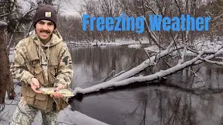 Can You Catch Trout in Freezing Weather?
