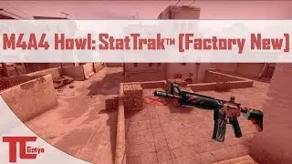 CSGO M4A4 Howl StatTrak (FN) (Before Contraband)