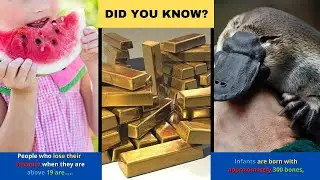 Random Amazing Facts | Exo Facts | Facts World | The Amazing Facts | Factology facts