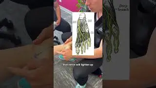 Why we treat the nerves in the foot to help with chronic knee pain #kneepain #adhesion #jointpain