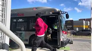 WMATA Metrobus 2023 New Flyer Xcelsior XD40 Bus #4766 on Route P1X to Rhode Island Avenue