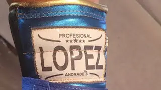 Lopez boxing gloves 14oz. initial thoughts