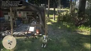The Bird Died