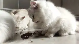 Eating food