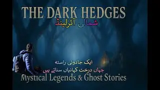 The Dark Hedges Are Haunted (A Ghost Story in Northern Ireland) 😱