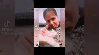 Вот такая любовь ❤️🐱 #безкотажизньнета #забавныеживотные
