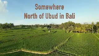 Beauty of Bali Rice Fiels & Vulcano Agung in Ubud Tegallalang