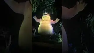 Tiana Bayou  Ride 