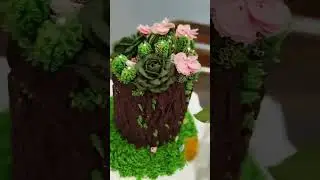 Little succulent plants birthday cake #yummy #tequila #birthdaycake