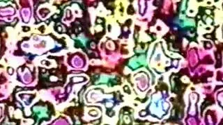 montel - Doubledown - Viva Limited