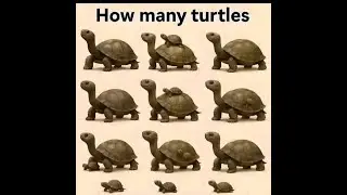 Test Your eyes