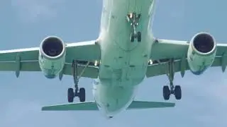 Virtual Field Trip - flying to the zoo