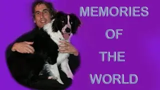 A heartwarming story about my beloved dog in Heaven - Rainbow Bridge