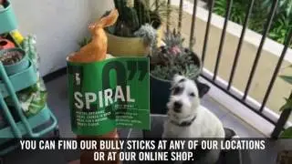 What Are Bully Sticks? Healthy Spot Chews