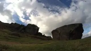 Cow & Calf Timelapse