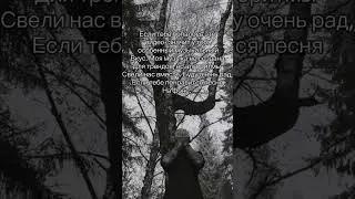 Waterlover - Засохшие листья