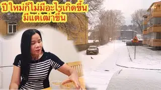 เห็นหิมะตกครั้งแรกตั้งแต่กลับมาจากไทย สวัสดีปีใหม่ทุกๆคนจ้า# ยายโสในต่างแดน