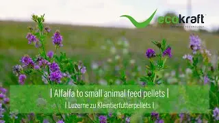 ECOKRAFT - Alfalfa to small animal feed pellets