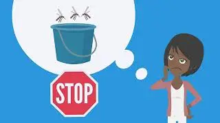 Let&rsquo;s Do Our Part to Prevent Mosquito Breeding