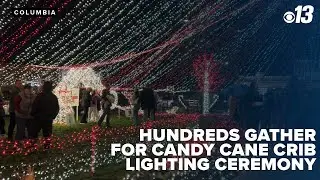 Logboat Brewing hosts Candy Cane Crib lighting ceremony