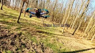 aarflip chase Baumspot