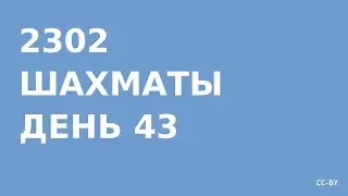2302 - Шахматы - день 43