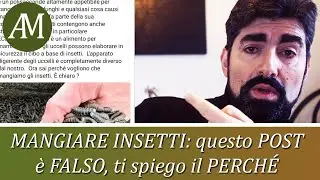 Mangiare insetti: questo post &egrave; falso e ti spiego perch&eacute; - Parliamo di... Entomofagia