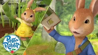 @OfficialPeterRabbit - Endless Outdoor Adventures 😮 | 25+ Mins Compilation |@Kidzuko