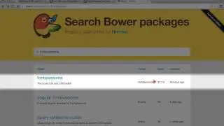 215. How to evaluate Bower packages for legitimacy