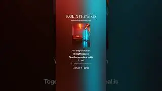 SOUL IN THE WIRES