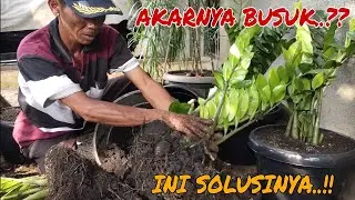CARA MERAWAT TOTAL JAMIA KULKAS !!