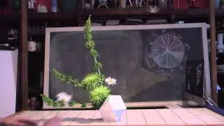 How To Make A Contemporary St Patrick's Day Flower Arrangement