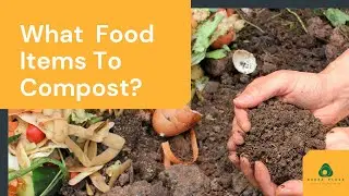 What Food Items to Compost | Karma Pluss - A Complete Recycle Solution