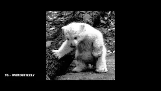 alblak 52 type beat — weather gray
