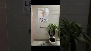 Let it grow #funny #meme #memes #shorts #short #lorax