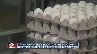 Avian Flu Outbreak Leads To Higher Food Costs