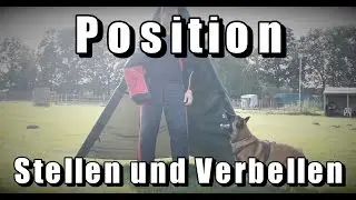 Positionstraining - Stellen und Verbellen | Tony Kliebisch