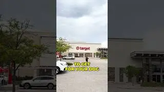 What store should we do next? 👀🐾 #thebkpets #target #targetpetproducts