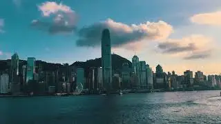 Customer profile video