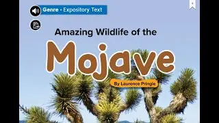 Amazing Wildlife of the Mojave- Wonders 3rd Grade