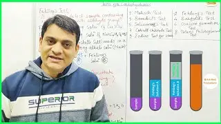 Part 2: Fehling'sTest with Reactions | Test for Carbohydrates