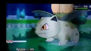 Shiny Ivysaur In Friend Safari In Pokemon Y After 384 RE's