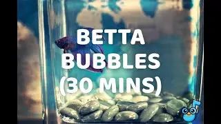 30-Minute Water Bubbles (AUDIO ONLY) 🫧 | Calm Classroom Sounds