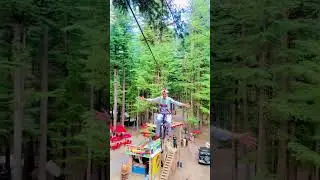 No End miss usho forest Kalam swat #egzonibrahimi #egzon #mountains #nature #travel #easticeland