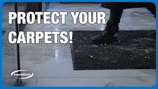 Best Ways to Protect Carpet in High-Traffic Areas | Prevent Wear, Stains & Matting