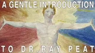 A Gentle Introduction to Dr. Ray Peat, w/@dannyroddy