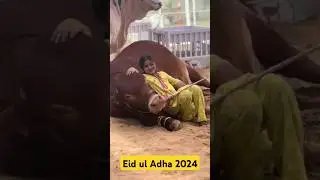 #eidulfitrexpecteddate2023 #eiduladha2024date #eiduladha