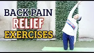 Back Pain Relief Exercises | LISA NAMURI - #lisamovement (Bahasa Indonesia)